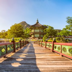 Colores de Corea con Isla de Jeju (Guia de habla Hispana) (desde Noviembre 2025)