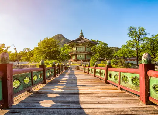 Japon Esencial y Corea (con visita Dmz) - Imagen 11