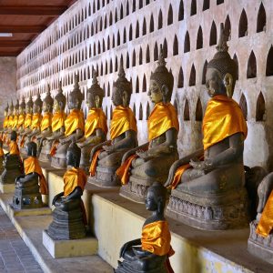 Import placeholder for 1772924816