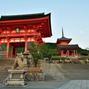 Japon Esencial 7 dias (Tokyo - Tokyo)