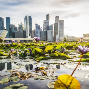 Templos, y Rascacielos: Singapur (visita en Ingles) y Kuala Lumpur + Extension a Bali - EXCLUSIVO SPECIAL TOURS