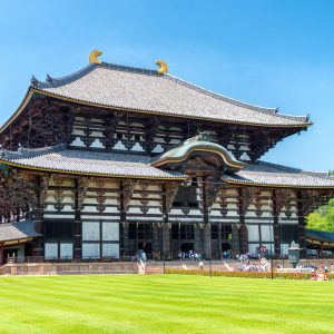 Japon Esencial con Osaka (Tokyo-Osaka)