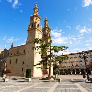Encantos de La Rioja y sus Bodegas
