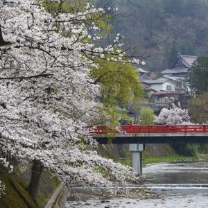 Gran Japon 10 dias con Nikko (Osaka - Tokyo)