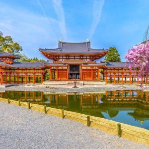 Japon Ninja con Nikko